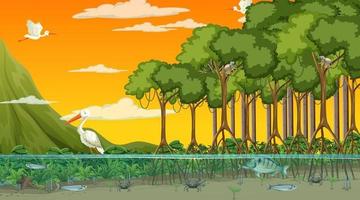 Animals live in Mangrove forest at sunset time scene vector
