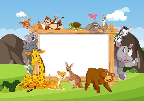 Empty wooden frame with various wild animals in the forest