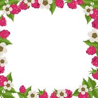 Frame with raspberries, leaves and white flowers on a white background. Bright berry square pattern. Summer food banner vector