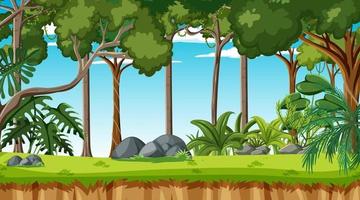 Forest landscape scene at day time with many different trees vector