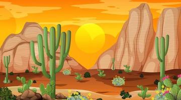 Desert forest landscape at sunset time scene with many cactuses vector