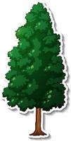 An evergreen tree with green leaves sticker on white background vector