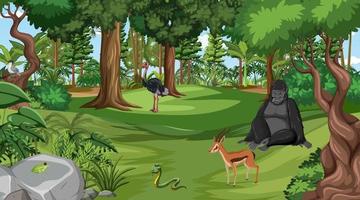 Forest scene with different wild animals vector