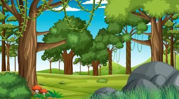 Forest scene with various forest trees and vector