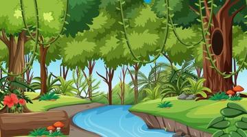 Rainforest or tropical forest at daytime scene vector