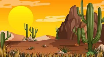 Desert forest landscape at sunset time scene with many cactuses vector