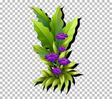 Tropical flower and leaf vector
