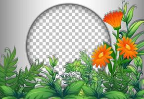 Round frame  with flower and leaves template vector