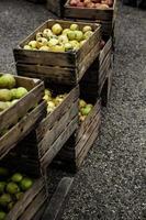 Apples in wooden boxes photo