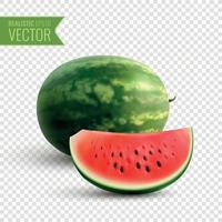 Ilustración de vector de concepto de diseño realista de sandía