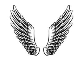 Illustration of Bird Wings for branding element vector