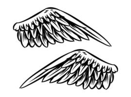 Ilustración de alas de pájaro para elemento de marca. vector