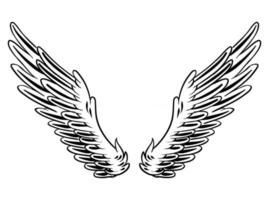 Illustration of Bird Wings for branding element vector