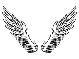 Illustration of Bird Wings for branding element vector