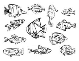 Vector fish line art illustration set, black outline illustration