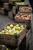 Apples in wooden boxes photo