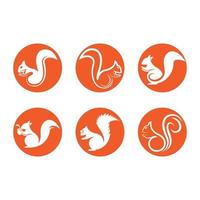 Squirrel logo images illustration vector