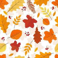 Autumn leafs with red berry seamless background. vector