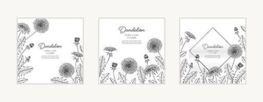 Hand drawn dandelion floral greeting card background. vector