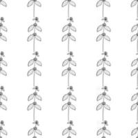 white horehound, seamless b-w vector