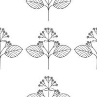 quina seamless pattern vector