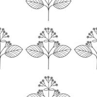 quina seamless pattern vector