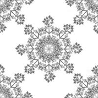 common rue seamless pattern vector