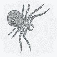 Spider Mandala Vector. Vintage decorative elements. Oriental pattern, vector