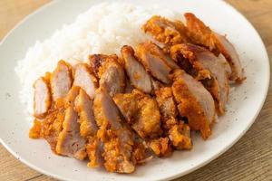 Fried pork topped on rice with spicy dipping sauce photo