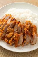 Fried pork topped on rice with spicy dipping sauce photo