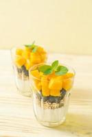 Homemade fresh mango and fresh blueberry with yogurt and granola - healthy food style photo