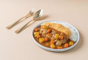 Fried pork cutlet curry with rice - Japanese food style photo