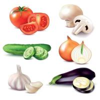 rodajas de vegetales realistas establecer ilustración vectorial vector