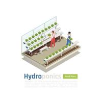 Hydroponics Greenhouse Isometric Composition Vector Illustration