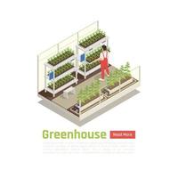 Hydroponics Greenhouse Isometric Composition Vector Illustration