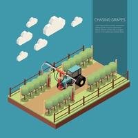 Chasing Grapes Isometric Composition Vector Illustration