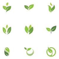 Green leaf logo template Vector icon
