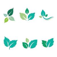 plantilla de icono de color de vector plano de hojas de menta