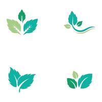 plantilla de icono de color de vector plano de hojas de menta