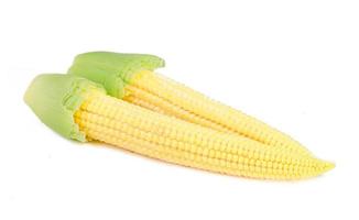 Baby sweet corn isolated on white background. photo