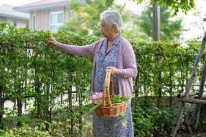 Asian senior or elderly old lady woman taking care of the garden in house, hobby to relax and exercising with happy. photo