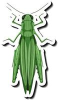 A sticker template with top view of a grasshopper isolated vector