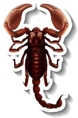 A sticker template with top view of a scorpion isolated