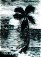 Vector tropical summer illustration with palm