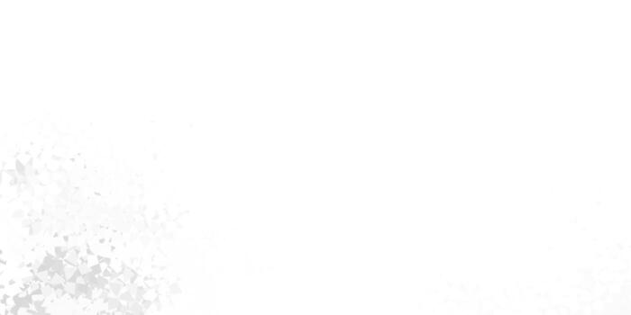 Light gray vector backdrop with triangles, lines.