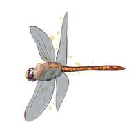 libélula de un toque de acuarela, dibujo coloreado, realista. ilustración vectorial de pinturas vector