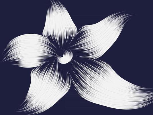 Flower Abstract Background
