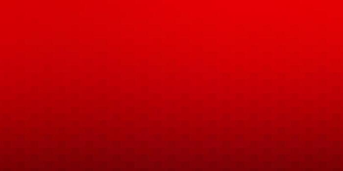 Dark Red vector layout with lines, rectangles.