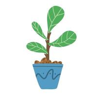 Fiddle leaf tree in ceramic pot on white background. Ficus Lyrata vector