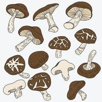 Doodle freehand sketch drawing of shitake mushroom vegetable. vector